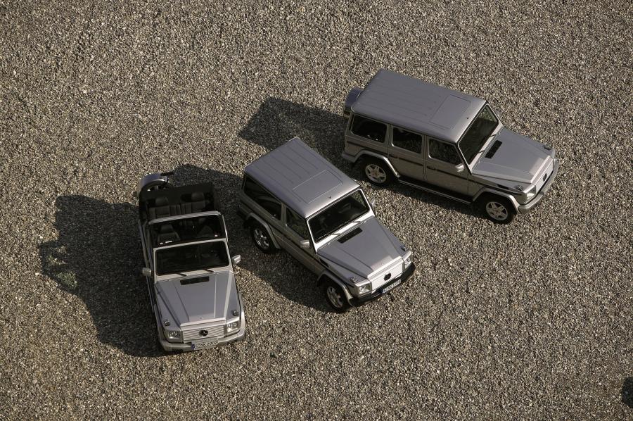  Mercedes-Benz G-Class 1990 года  (фото 81 из 260)